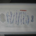 518 8009 LITOGRAPH IN C..